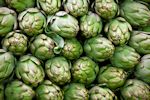 artichokes extract